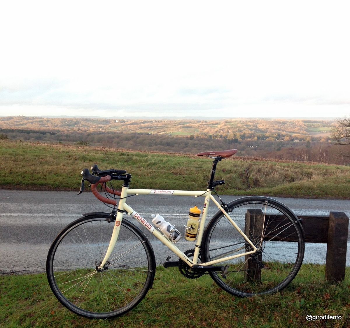 Genesis Equilibrium 20 on the Ashdown Forest