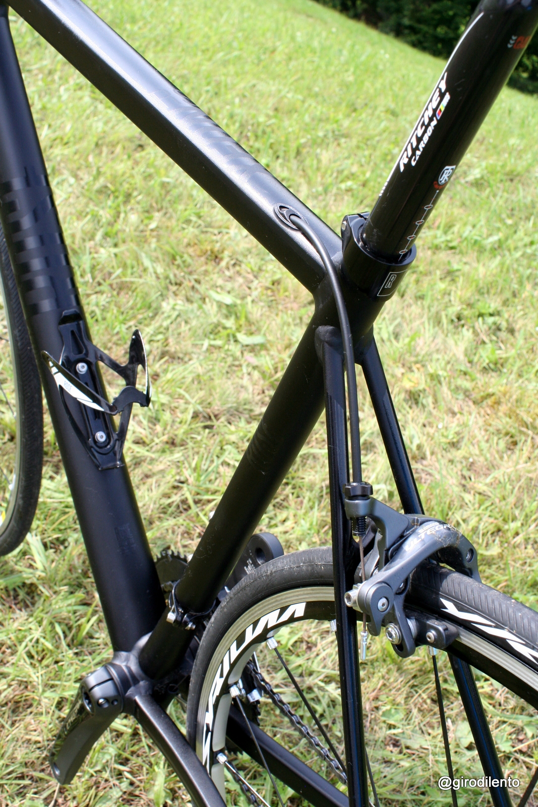 New Rose Xeon RS frame detail