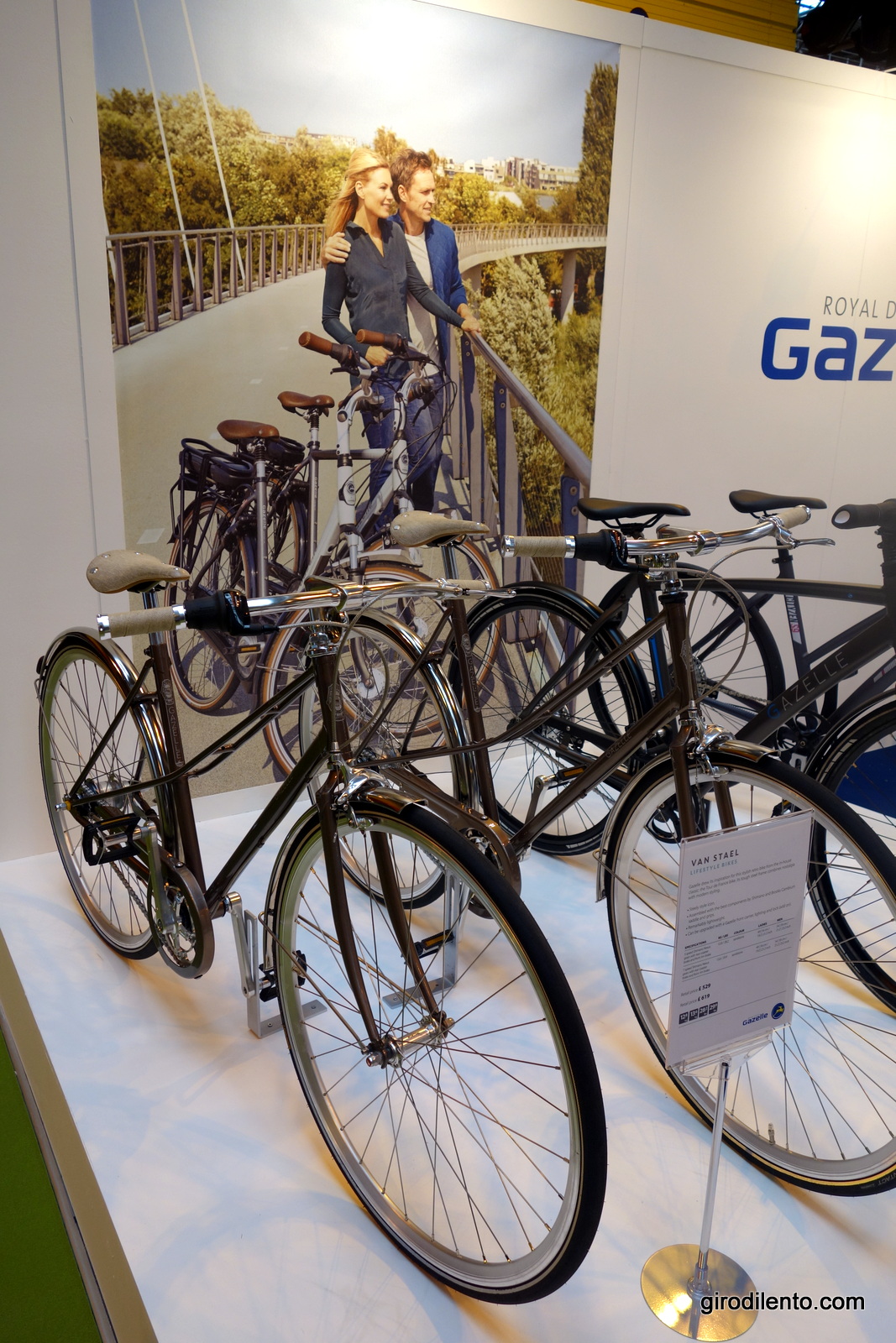 The Gazelle Van Stael Mixte Frame was really lovely. 
