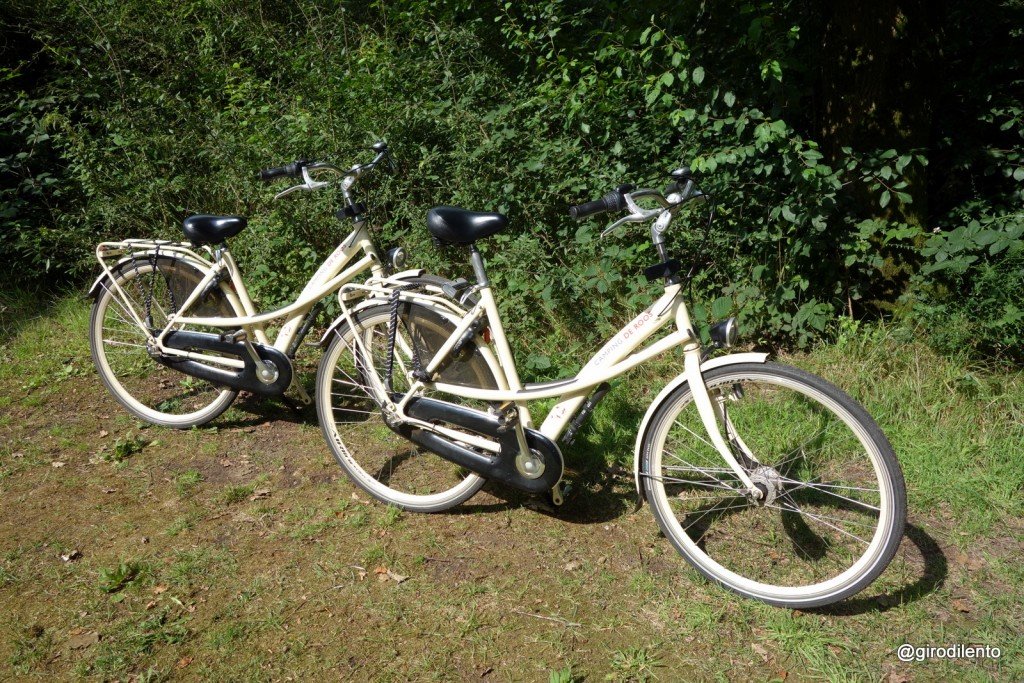 The Camping de Roos hire bikes